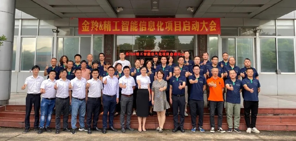 金羚在行动——借“信息化”助跑，建“数智化”未来！