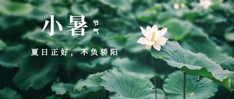 СԸǻ洦